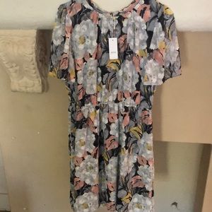 Loft dress never been worn dress